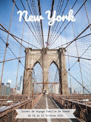 Carnet de voyage à New York Pont de Brooklyn