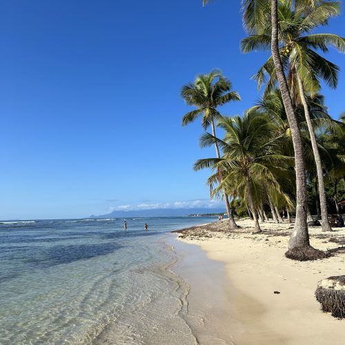 Plage de sable blanc avec cocotiers en Guadeloupe